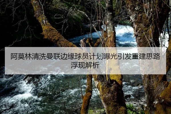 阿莫林清洗曼联边缘球员计划曝光引发重建思路浮现解析