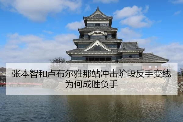 张本智和卢布尔雅那站冲击阶段反手变线为何成胜负手