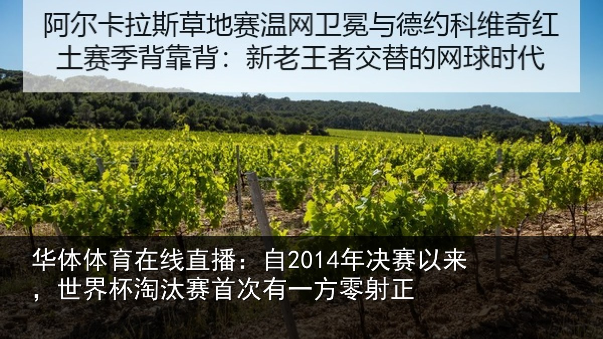 华体体育在线直播：自年相关情况汰赛相关情况
