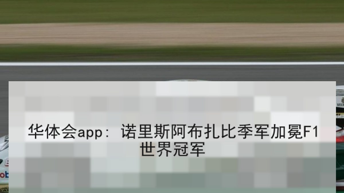 华体会app: 诺里斯阿布扎比季军加冕F1世界冠军
