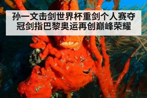 孙一文击剑世界杯重剑个人赛夺冠剑指巴黎奥运再创巅峰荣耀