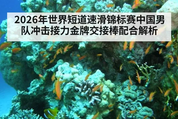 2026年世界短道速滑锦标赛中国男队冲击接力金牌交接棒配合解析